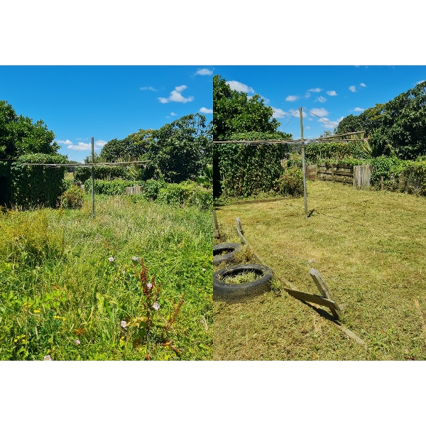 Lawn and garden before and after tidy-up in Paeroa